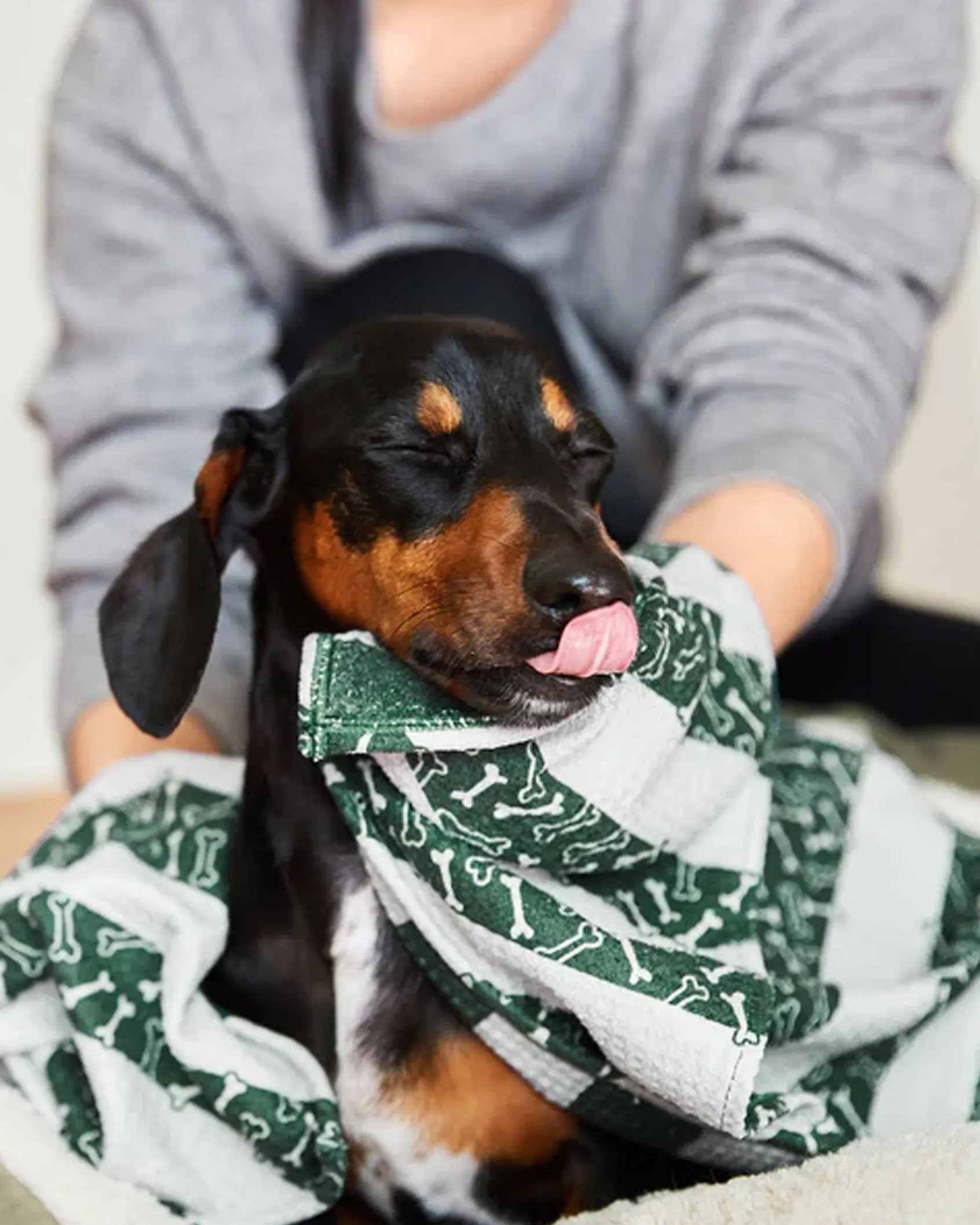 Dock and Bay Dog Towels