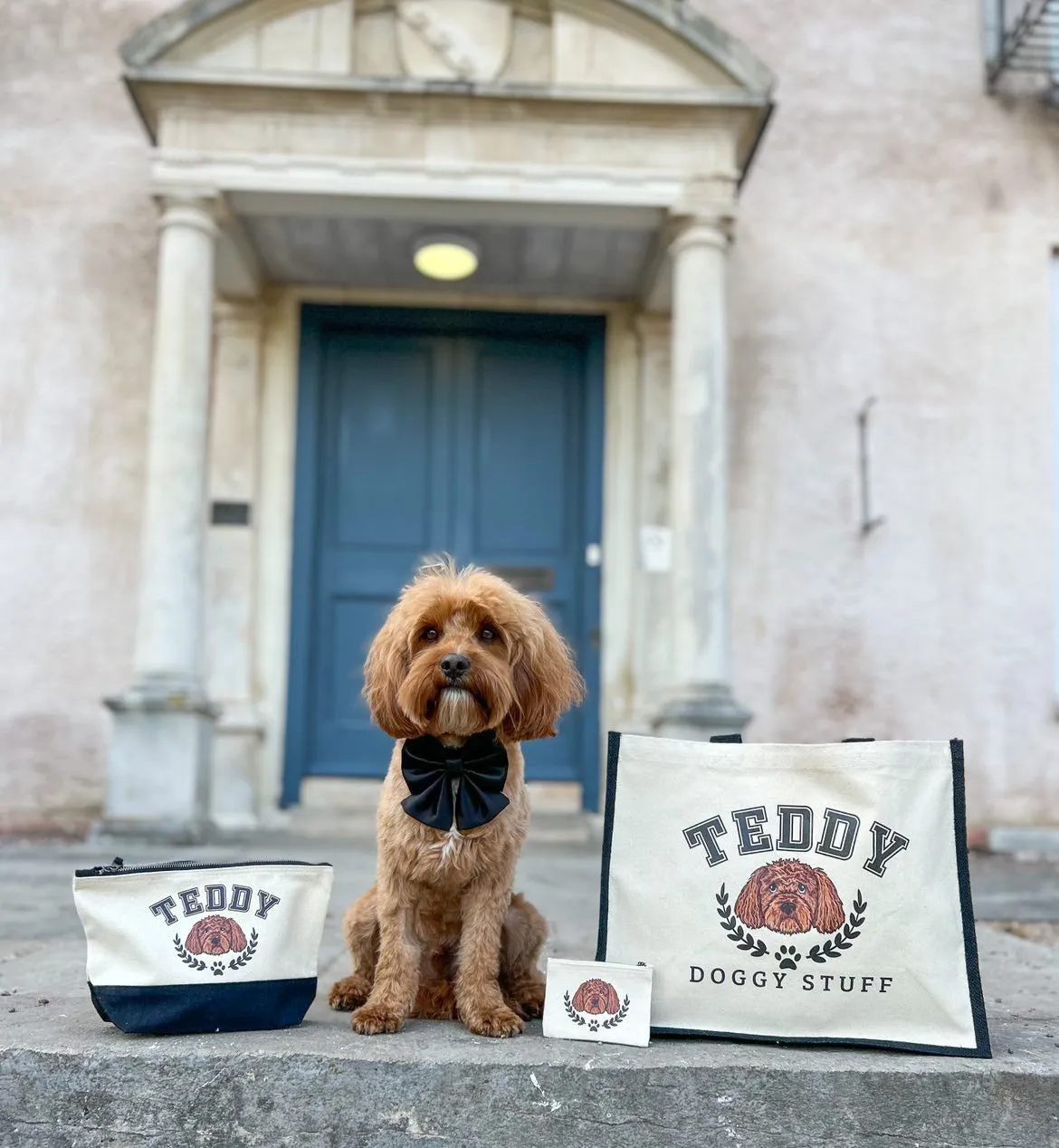 Matching Ulti-mutt Doggy stuff Travel Bag